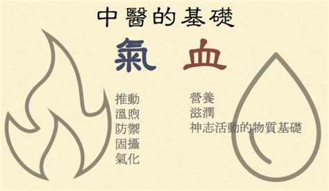 地氣|《中醫詞典》解釋「地氣」的意思